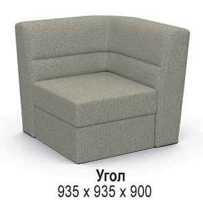 BM_S_Viktorija_mod_ugol